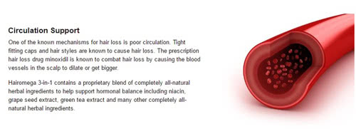 ヘアーオメガの効果1：血液循環の改善・血行促進