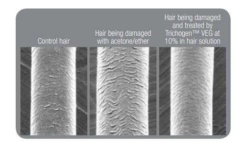 トリコゲン（Trichogen）による毛髪のダメージ修復効果